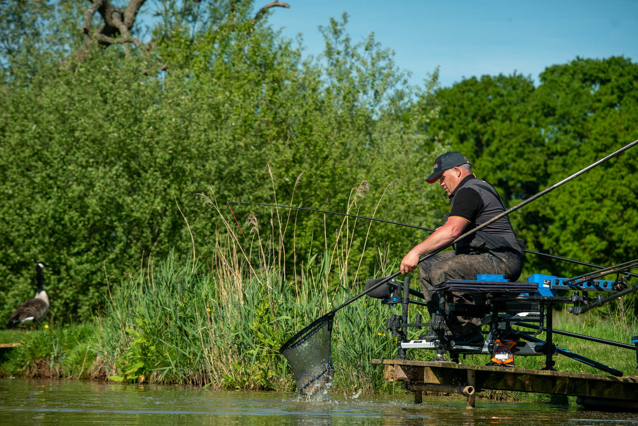 Sonubaits Polo Shirt