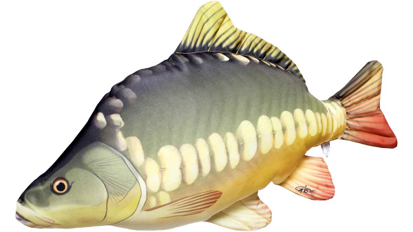 Gaby The Carp - 61cm