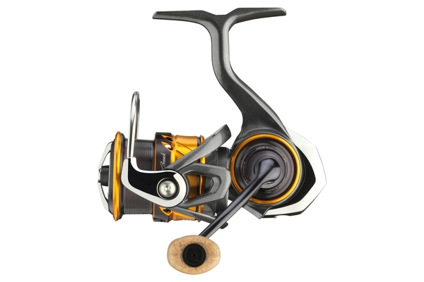 Daiwa 22 Silver Creek MQ LT Spinmolen Forel