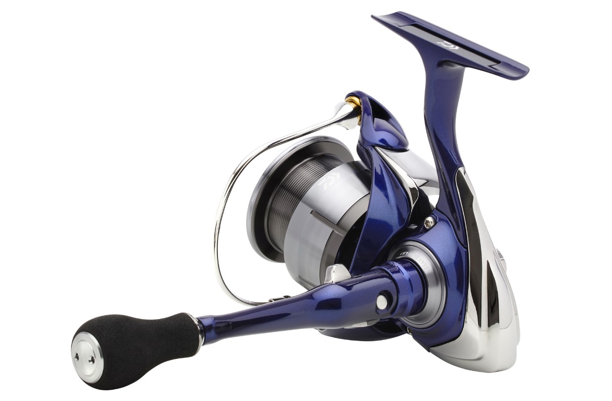 Daiwa 24 TDR Match & Feeder 4012QD Molen