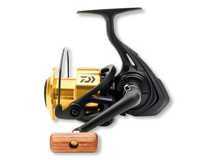 Daiwa 17 GS LTD