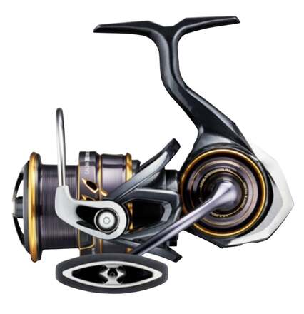 Daiwa 22 Caldia LT MQ Spinmolen