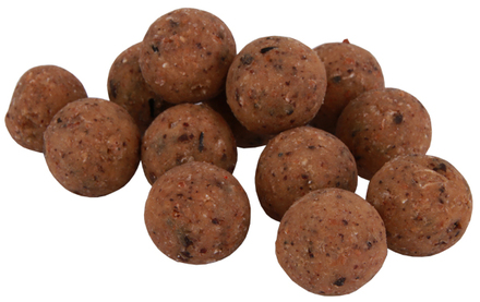 Premium Readymade The Nutz Boilies in 15 of 20mm