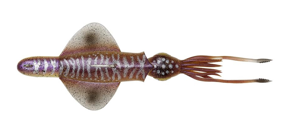 Savage Gear Swim Squid Rtf Zeevis Kunstaas 18cm (90g) - Cuttlefish
