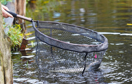 Forel schepnetten