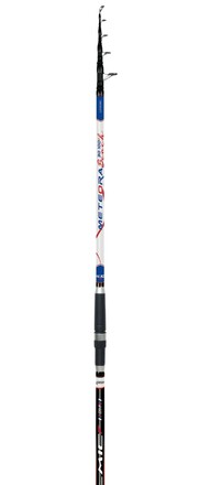 Shakespeare Salt XT MPV Sea Fishing Spin Rod 3.05m (56-112g)