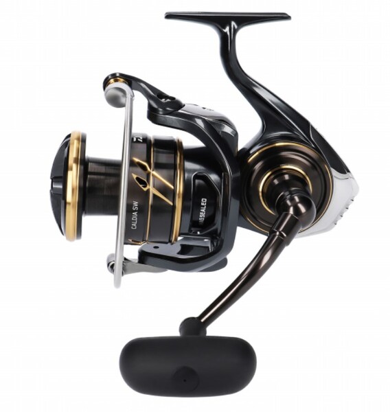 Daiwa Caldia SW Zeevis Molen