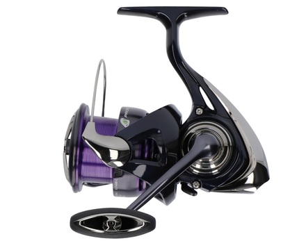 Daiwa 24 Prorex X LT Spinmolen