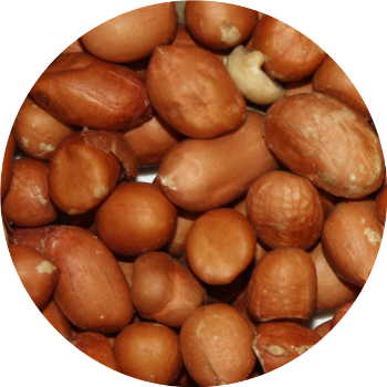 Vivani Particles 5kg - Peanuts