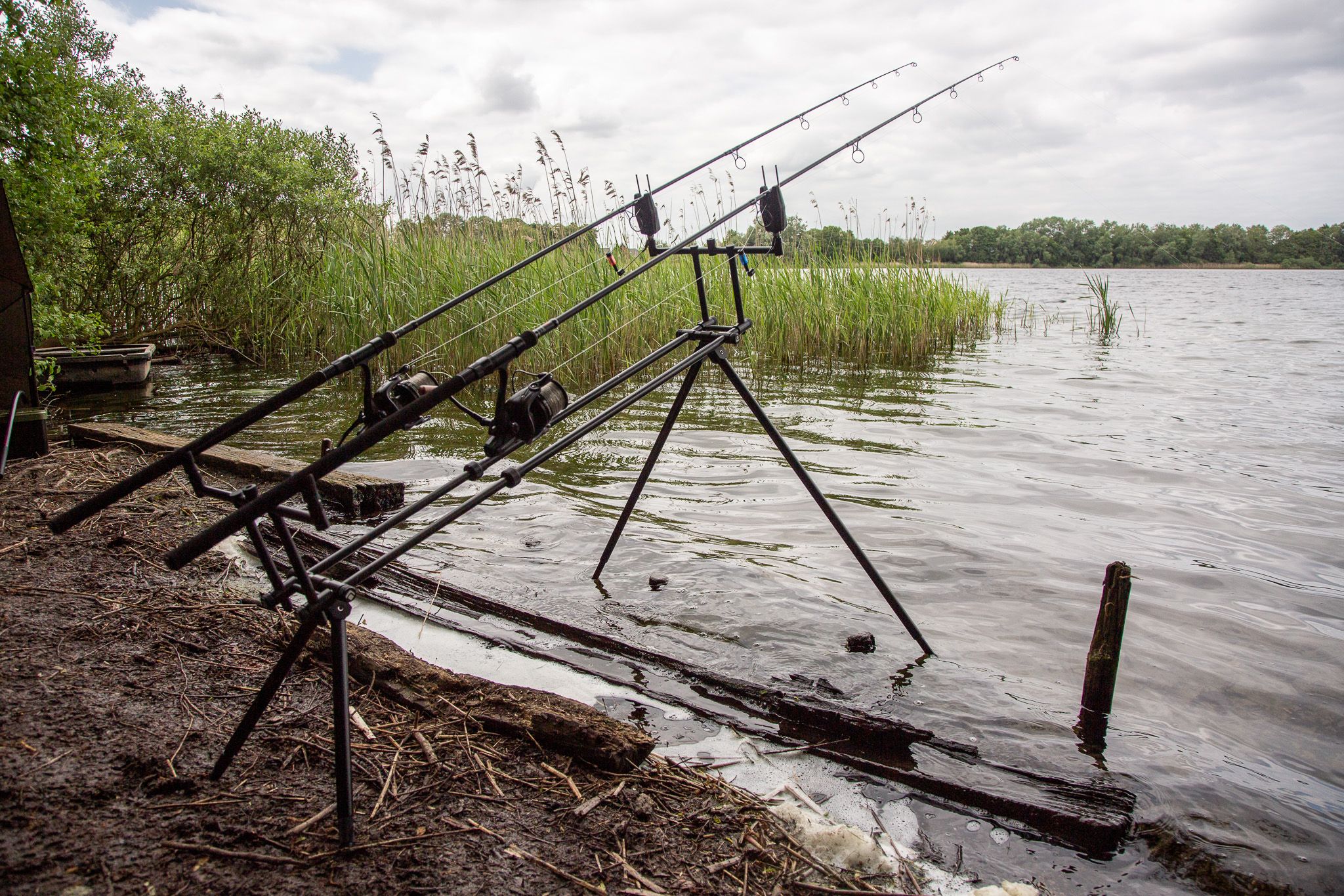 Ultimate Bionic Lunar Rod Pod