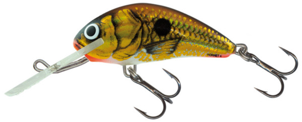 Salmo Hornet 4cm (keuze uit 17 opties) - UV Gold Shiner