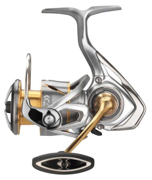 Daiwa 21 Freams LT Spinmolen