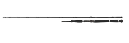 Daiwa DW Pro Staff CF Vertical Meervalhengel 1.90m (-180g)